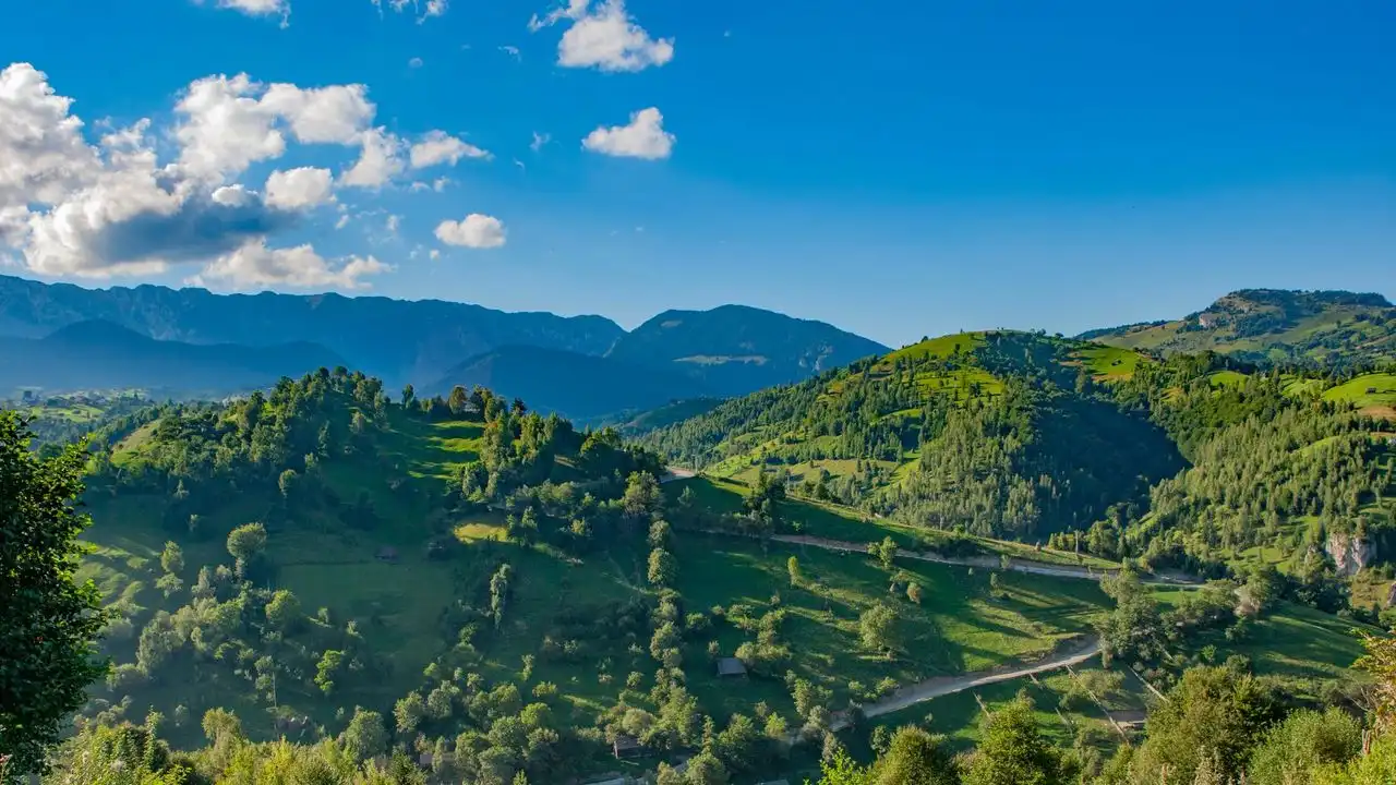 Romanian Movies Are Great For Language Learners: Here Is What To Watch